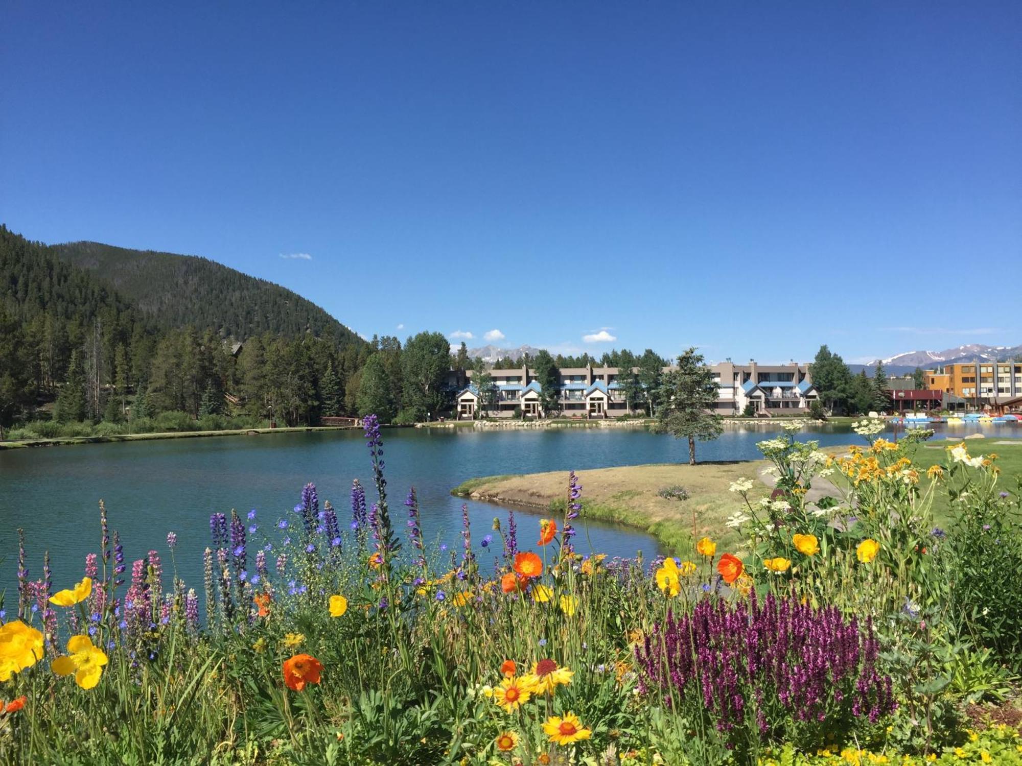 Argentine 1504 By Summitcove Lodging Keystone Eksteriør bilde